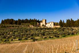 Italien: Villa Toskana © Peter Hollos